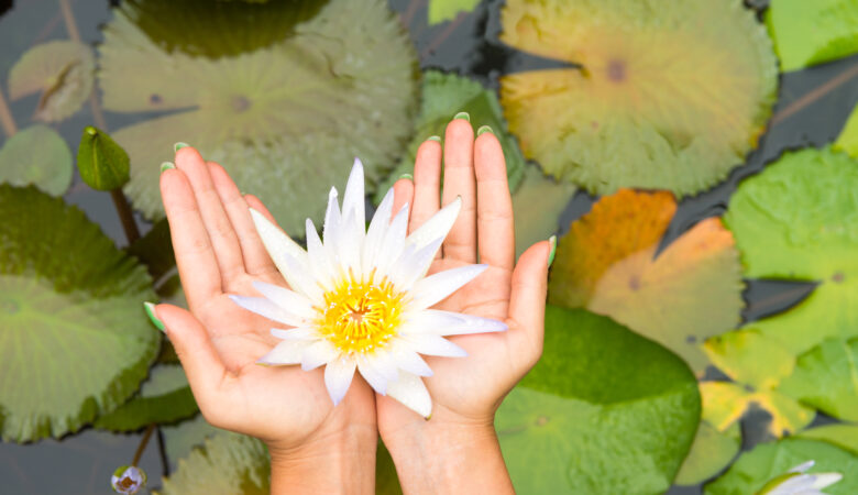 Holistic Health: Nurturing the Mind, Body, and Emotions for Lasting Well-Being